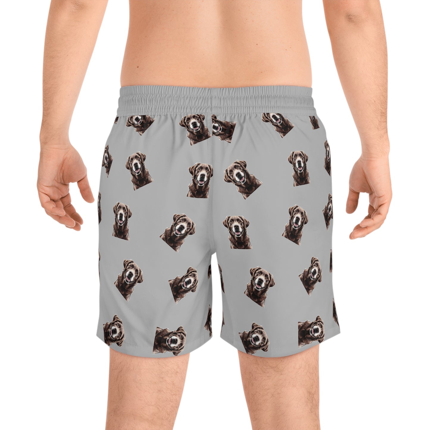 Brown Lab swim shorts