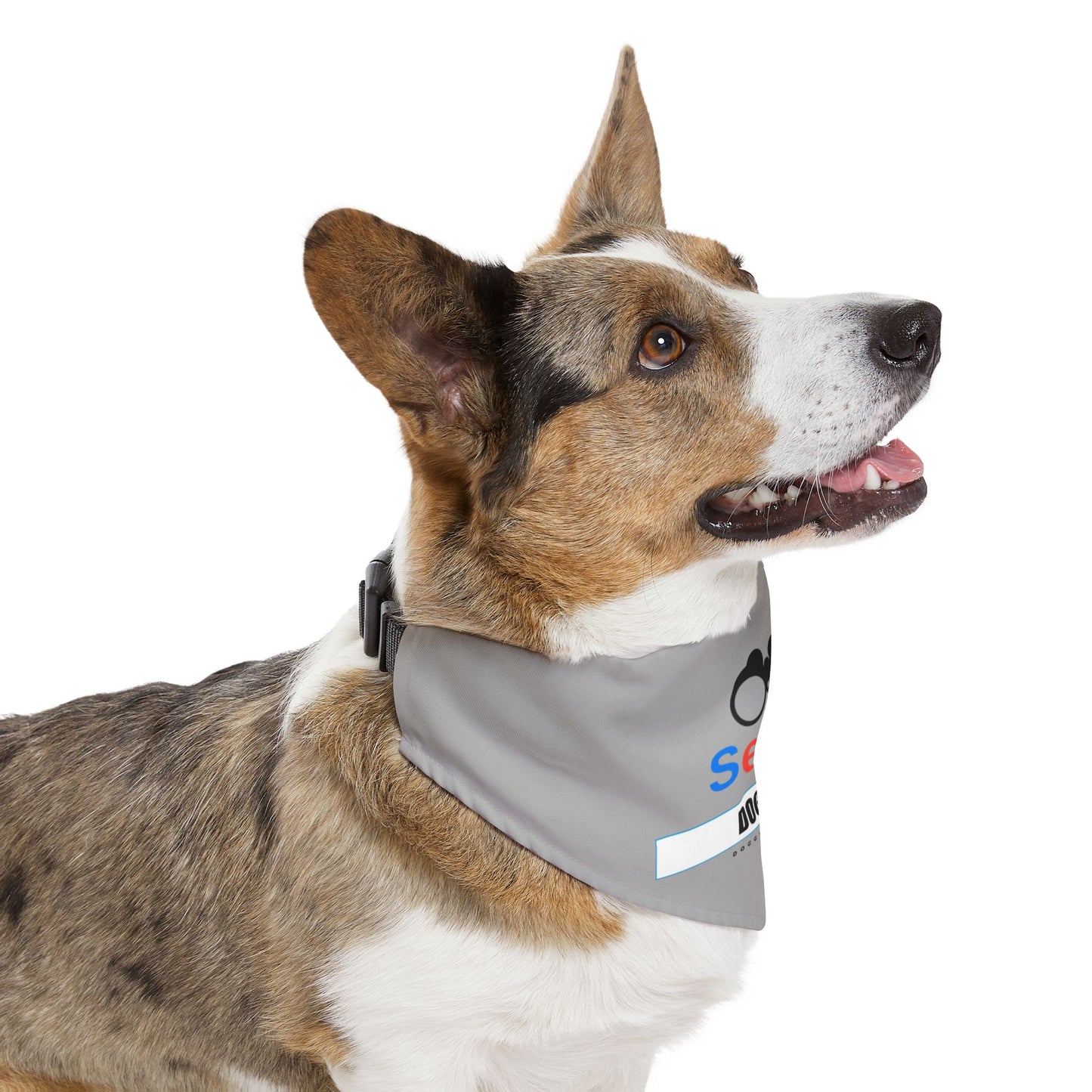'Dog Dad' Search Bandana Collar